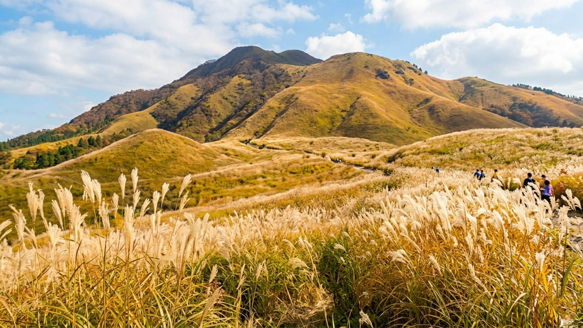 10月出発 羽田→石見 三瓶山のススキ草原