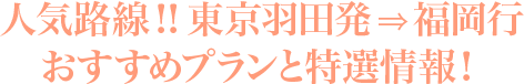 人気路線！！東京羽田発⇒福岡行おすすめプランと特選情報！