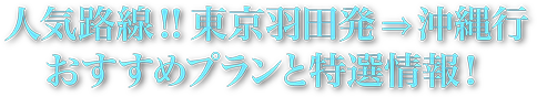 人気路線！！東京羽田発⇒沖縄行おすすめプランと特選情報！