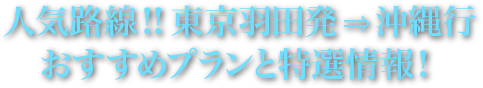 人気路線！！東京羽田発⇒沖縄行 おすすめプランと特選情報！